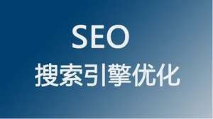 seo優(yōu)化搜索引擎推行方式有哪些呢?