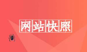 網(wǎng)站快照停滯的原因分析